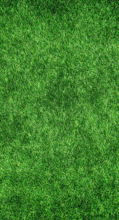 Mode écologique 2025 : les nouvelles tendances responsables à adopter cette année